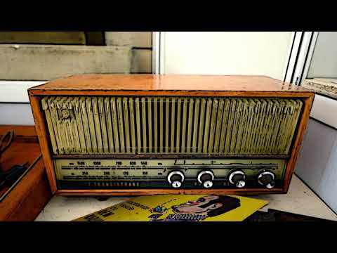 DE N-AR FI, NU S-AR ZÂMBI cu Dem Rădulescu, Ștefan M.-Brăila 🎭 Teatru Radiofonic Subtitrat