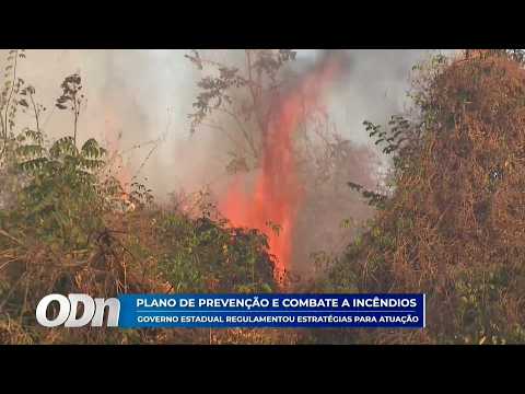 O Dia TV