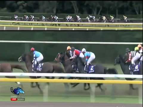 2014.10.04 Sprinters Stakes - Snow Dragon