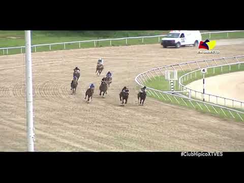 1era. carrera | Mad Max | Hipódromo La Rinconada | Reunión 33 | 2022