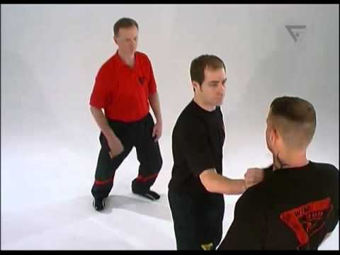 Preview: Sifu Niko DVD 03 - Basic Levels 9-12