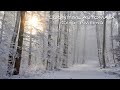 Sol de Invierno