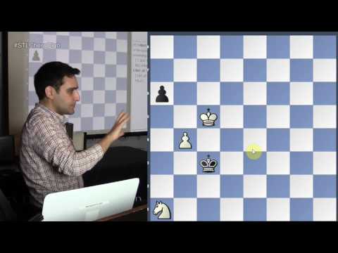 Imaginative Compositions | Endgame Exclam!! - GM Elshan Moradiabadi