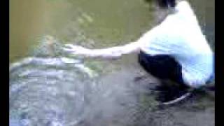 preview picture of video 'Incredible! Man Catches Alligator Fish!?!!'