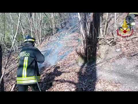 Laveno Mombello, brucia la montagna