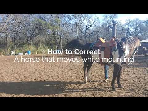 What to do if your horse moves while mounting