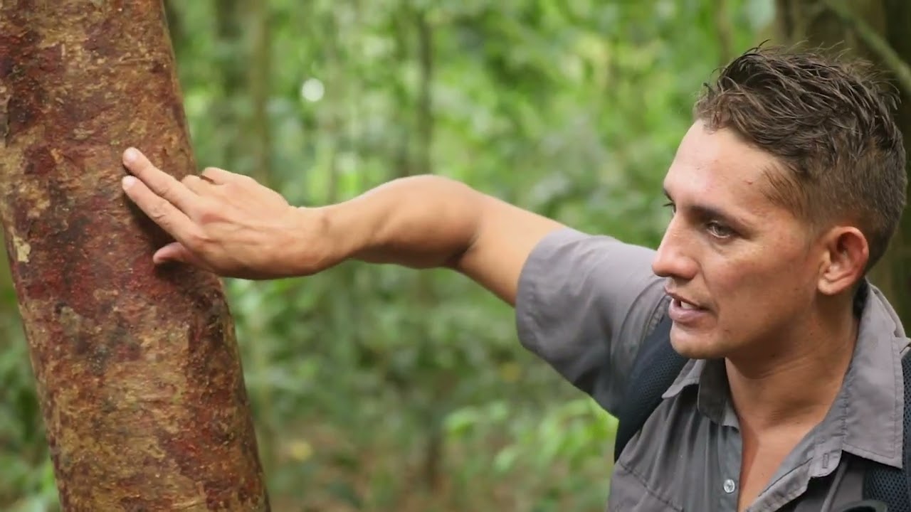 Experience the Magic of Corcovado