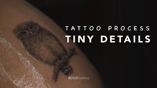 Tiny Owl Tattoo | Detailed Tattoo Process