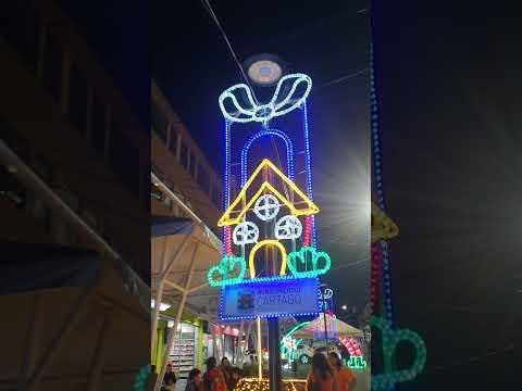 Decoración Superior Boulevard de Cartago #2