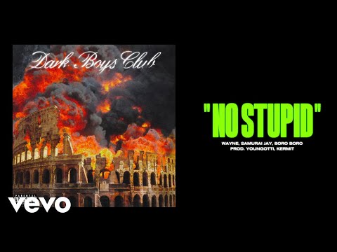 Dark Polo Gang, Wayne, Boro - NO STUPID (prod Youngotti e Kermit) ft. Samurai Jay