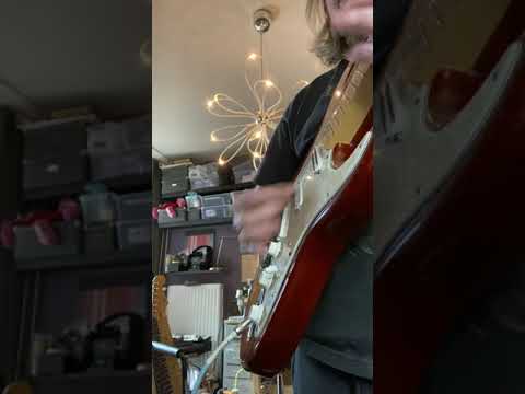 IMG 6970