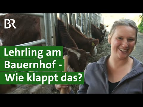 Ausbildung in der Landwirtschaft für Quereinsteiger: Landwirt werden ohne Hof | Unser Land | BR