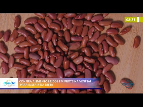 Conheça alimentos ricos em proteína vegetal para enriquecer dieta 25 03 2021
