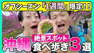 【オフシーズン限定！】沖縄の桜絶景スポットで食べ歩きツアー