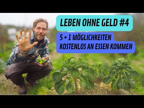 5 Möglichkeiten kostenlos an Essen zu kommen -  Leben ohne Geld #4
