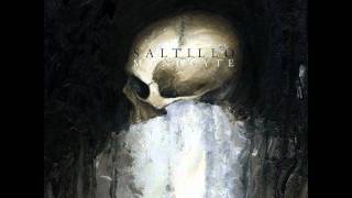 Saltillo - To Kill a King