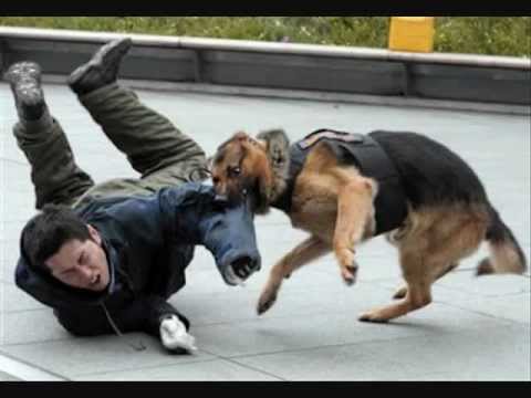 jay z linkin park collision course