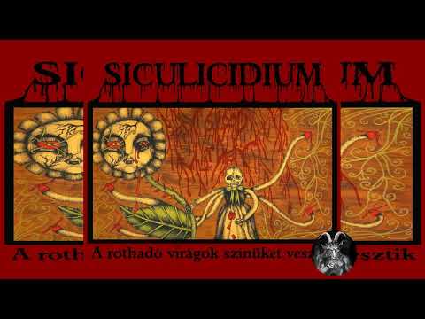 SICULICIDIUM - A ROTHADÓ VIRÁGOK SZÍNÜKET VESZTIK - FULL EP 2012