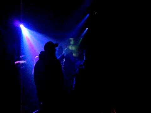 VIKKEI @ pureanalog 1