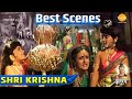 Best Scenes Shri Krishna