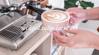 how i practice latte art at home | breville barista express