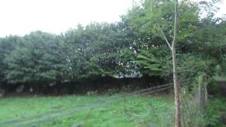 Walking in the Hills Above the Dart near Totnes in Devon