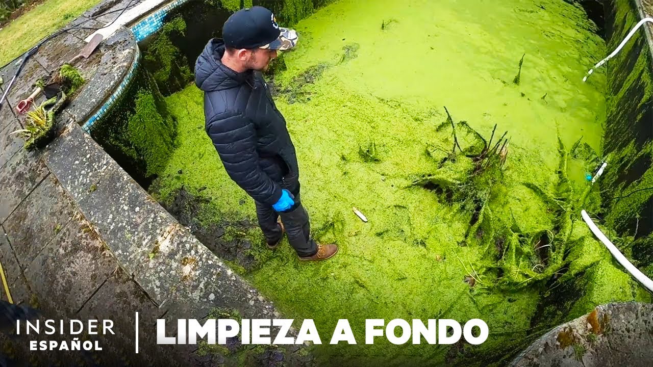 Cómo se limpian los fondos de las piscinas en profundidad | Limpieza a fondo | Insider Español