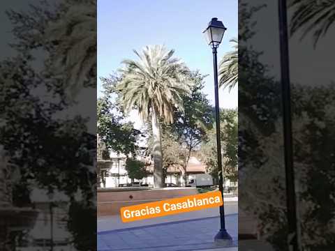 Casablanca - Región de Valparaíso @porotoelcicloviajero #bikepacking #cicloturismo  #travel