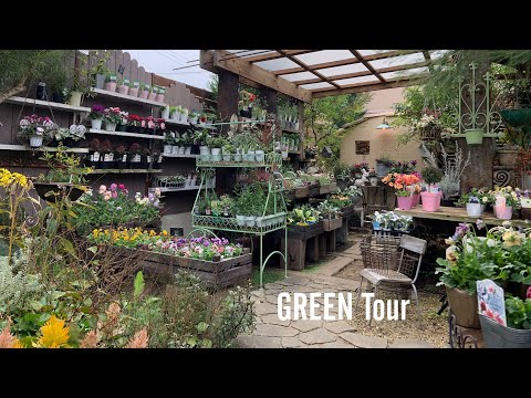 植物の構造-織られた柳-植物のトンネル-路地の上