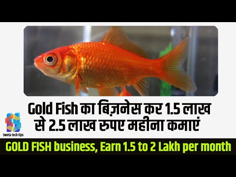 Gold Fish Business , Earn 1.5 to 2 Lakhs Per Month Video