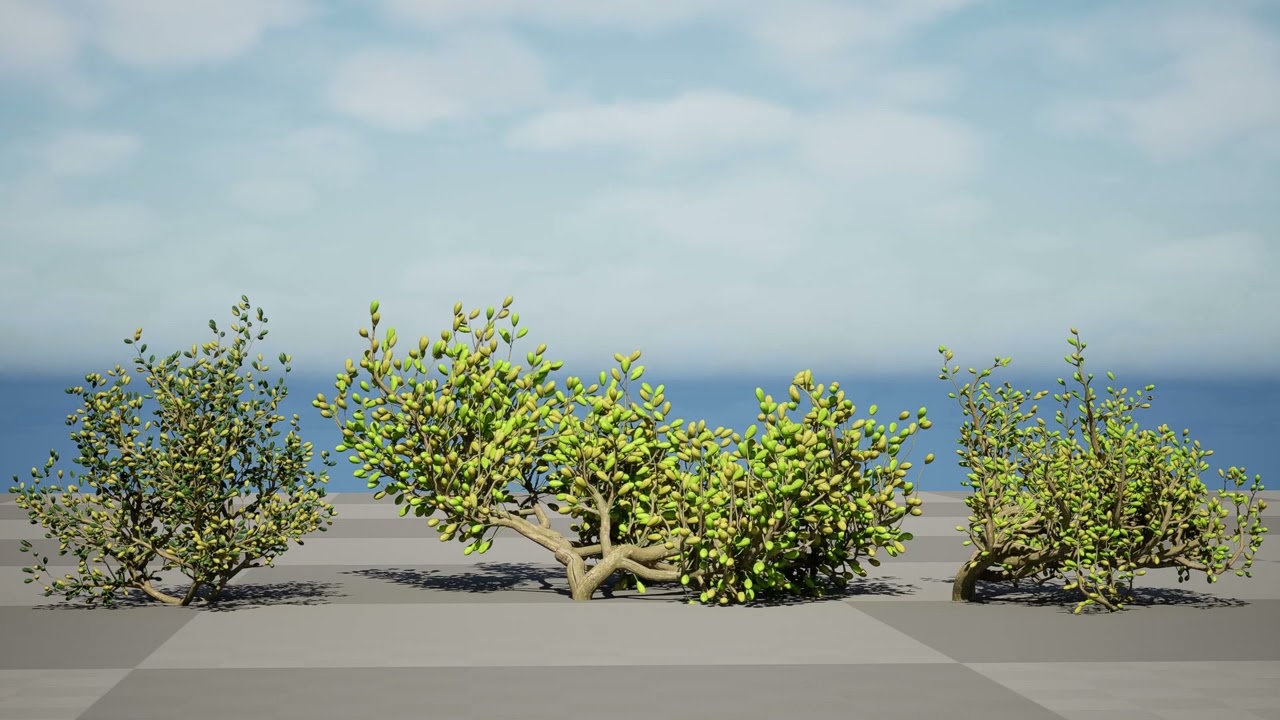 Pen&iacute;nsula Ar&aacute;bica Zygophyllum Mandavillei Modelo 3D