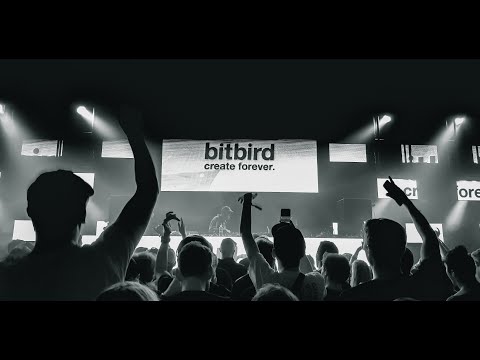 El Canto Del BIRD - DJ Dave ( Sin Copyright Music)🍹🍸🚨