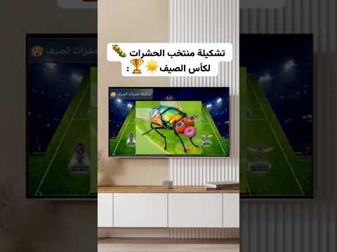 تشكيلة منتخب الحشوات!!
