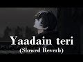 Yaadain Teri Mubeen Butt Slowed And Reverb