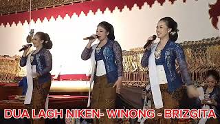 Download lagu Dua lagu NIKEN- Nawangseh dan Brigita sesi goro- Goro Ki cahyokuntadi@Tawon lanceng chanel mp3 Download lagu Dua lagu NIKEN- Nawangseh dan Brigita sesi goro- Goro Ki cahyokuntadi@Tawon lanceng chanel mp3