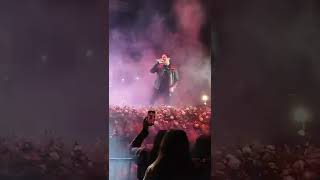 lobo en paris (regulo caro) @regulocaro