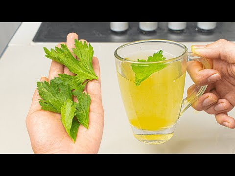 ¡Toma esto en ayunas! Solo hierve las hojas de apio
