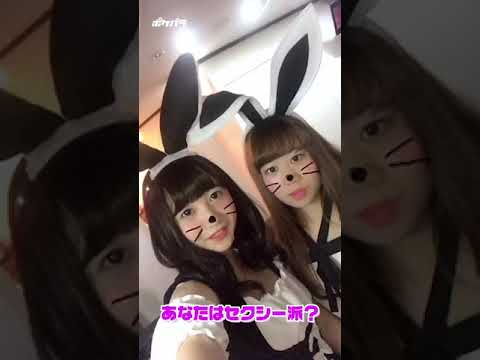 しゃいん - 池袋東口/ガールズバー【ポケパラ】