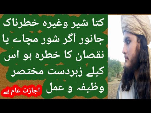 #Dog or #Lion etc Jese #khatarnak #Janwaro se #Hefazt ka #amal By #Ijaz #hussain #saifi