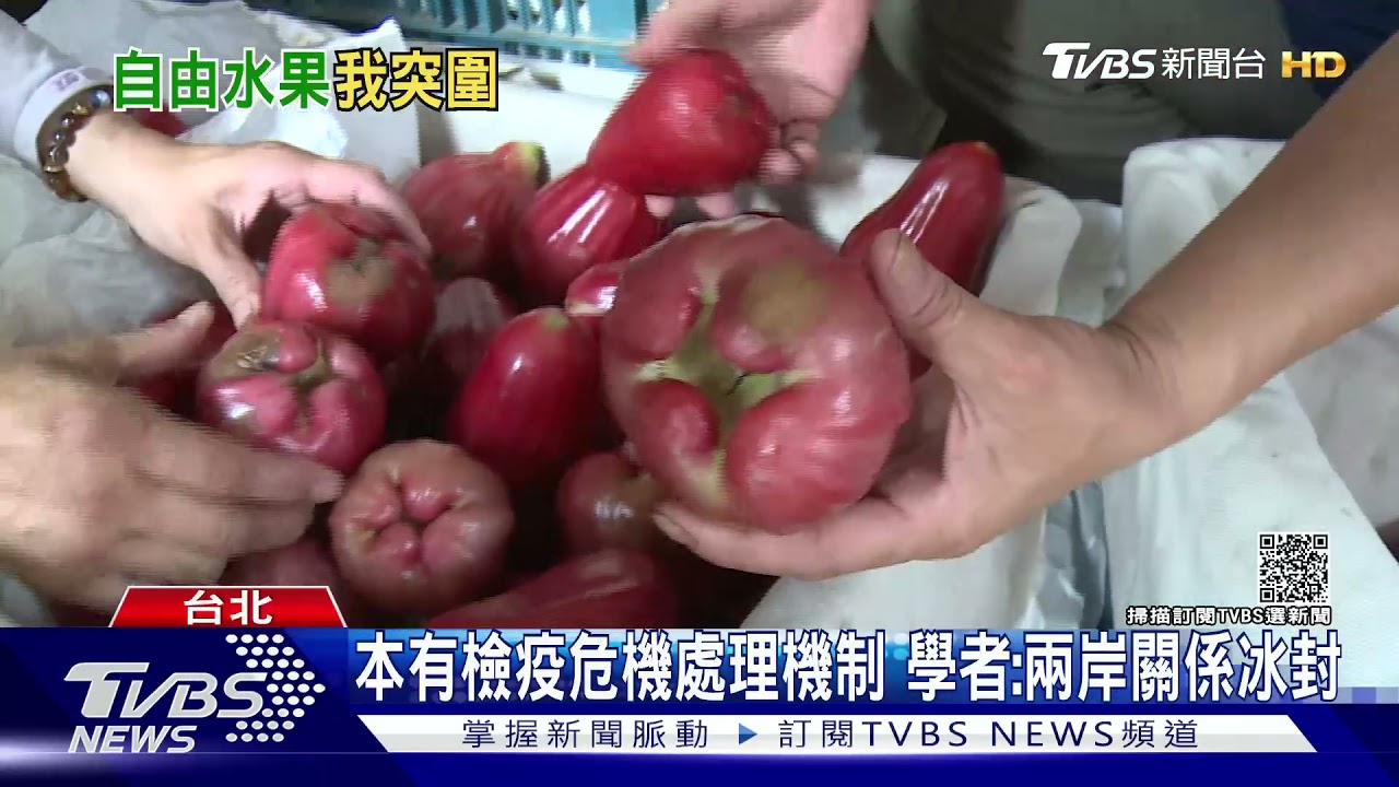 複製鳳梨處理方案?綠砸錢+喊「自由水果」 學者:兩岸冰封