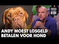 Andy moest losgeld betalen om zijn hond terug te krijgen van ontvoerders | VERONICA OFFSIDE