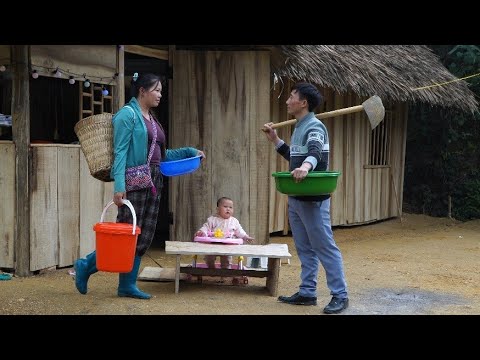 Harvesting cabbage and heartwarming stories with Duy.