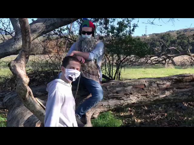 The Executioner
