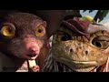 Rango In Bemba