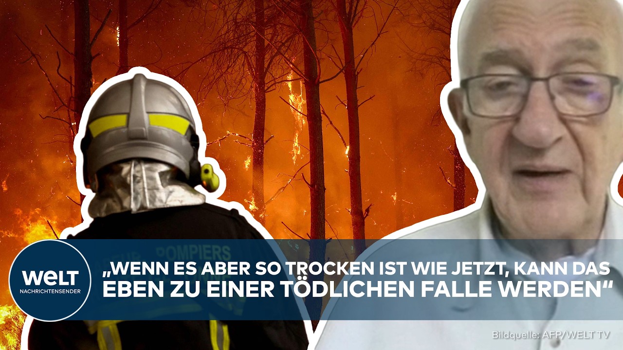 WALDBRÄNDE IN EUROPA: Experte erklärt! Das sind die Ursachen der zunehmenden Waldbrandgefahr
