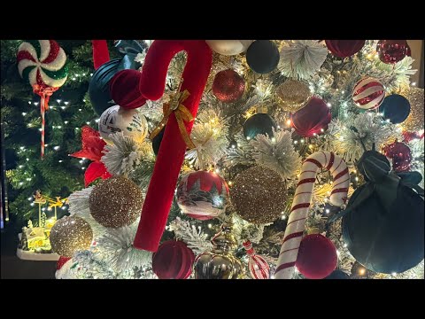 Boki13 LIVE VECEREN PRESEK -7  NOVOGODISNO UKRASUVANJE del 2