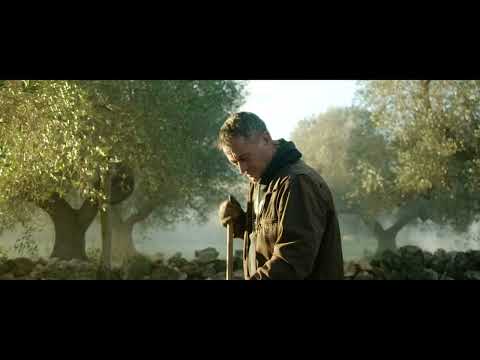 video frame placeholder