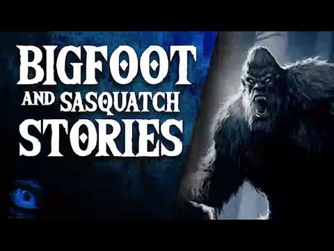 ANGRY BIGFOOT - 30 SCARY SASQUATCH STORIES AND BIGFOOT SIGHTINGS - What Lurks Above