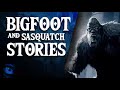 ANGRY BIGFOOT 30 SCARY SASQUATCH STORIES AND BIGFOOT SIGHTINGS What Lurks Above