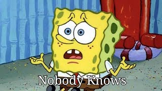 Nobody Knows - Russ (Spongebob Cover)